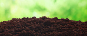 soil testing tampa