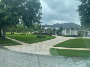 tarpon springs lawn care